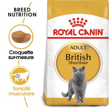 ROYAL CANIN  Race British Shorthair Adult