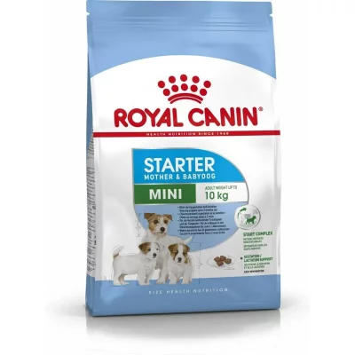 ROYAL CANIN  -  Mini Starter Contenances : 1 kg