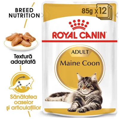 ROYAL CANIN BREED Royal Canin - Sachets Maine Coon en Mousse pour Chat - 12x85g
