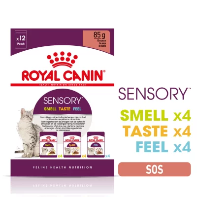 ROYAL CANIN  Sensory multipack p&acirc;t&eacute;e pour chat 2 bo&icirc;tes (24 x 85 g)