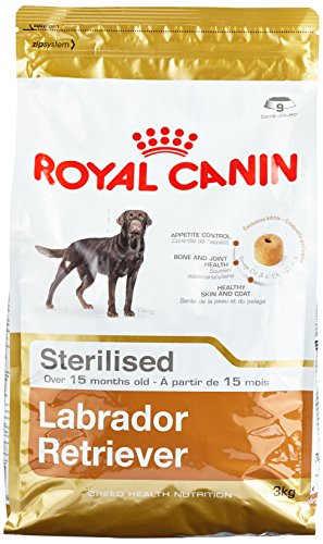 ROYAL CANIN  Sterilised Adult Labrador Retriever pour chien 2 x 3 kg