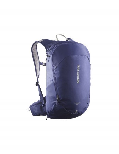 SALOMON Sac &agrave; dos montagne  de trailblazer 20 bleu mazarine/gris