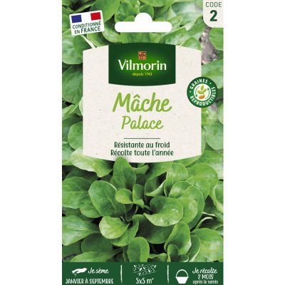 VILMORIN Sachet graines mache palace