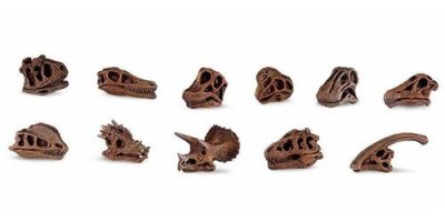 SAFARI LTD Safari jeu de r&ocirc;les Cr&acirc;nes de dinosaures Toob junior brun 11 pi&egrave;ces