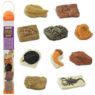 SAFARI LTD  Ancient Fossils Toob Figure Multicolore From 3 Years