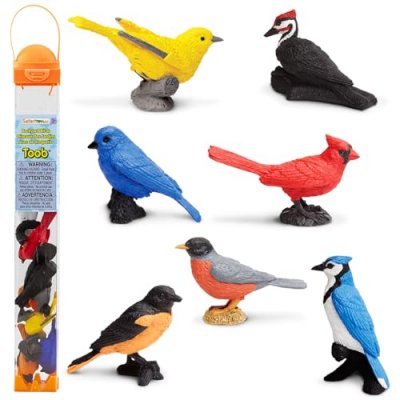 GENERIQUE Safari Ltd Backyard Birds Toob Figure Multicolore From 3 Years