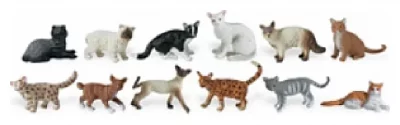 SAFARI  Ltd Domestic Cats Toob Figure Multicolore From 3 Years