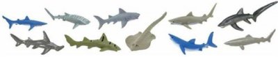 SAFARI LTD  Sharks Toob Figure Multicolore From 3 Years