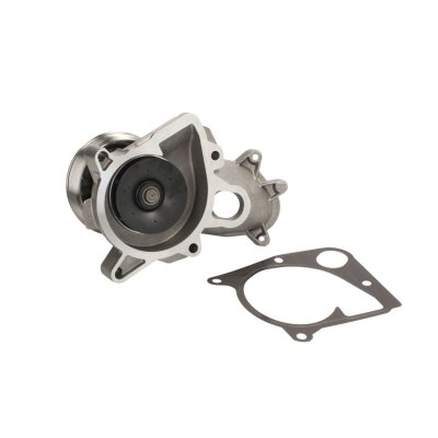 SALERI  PA1294 Pompe A Eau 