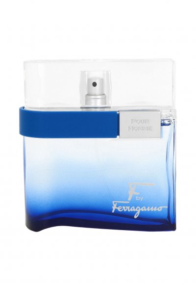 Salvatore Ferragamo Free Time Eau de Toilette pour homme 100 ml 100 ml