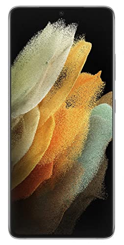 SAMSUNG  Galaxy S21 Ultra 5G 512 Go Double SIM Argent