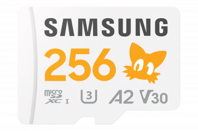 SAMSUNG  MB-MD256S MicroSDXC 256 Go Carte M&eacute;moire Flash MB-MD256SA/LC1