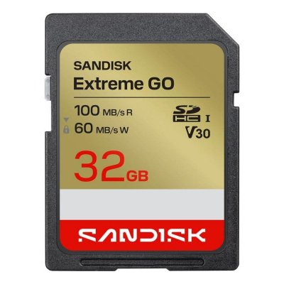 SANDISK  Carte M&eacute;moire Extreme Go 1 32gb