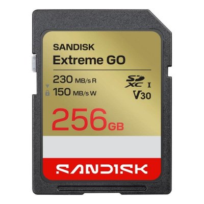 SANDISK  Carte M&eacute;moire Extreme Go 256gb