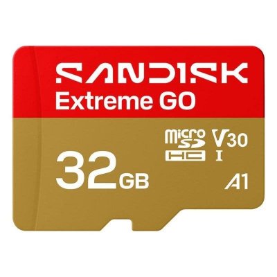 SANDISK  Carte M&eacute;moire Extreme Go 32gb