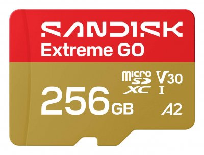 SANDISK  Extreme GO 256 Go MicroSDXC UHS-I
