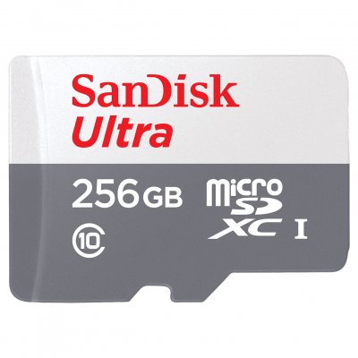 SANDISK  SDSQUNR-256G-GN3MN Ultra MicroSDXC 256 Go SDSQUNR-256G-GN3MN