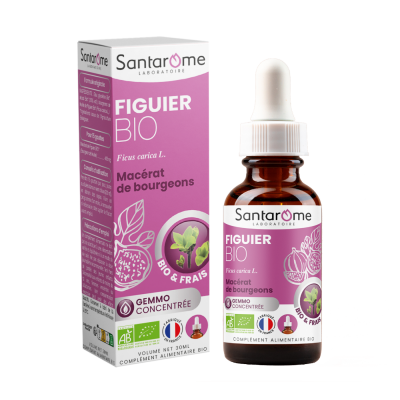 SANTAROME  Bio Figuier Bourgeons Bio et Frais U52