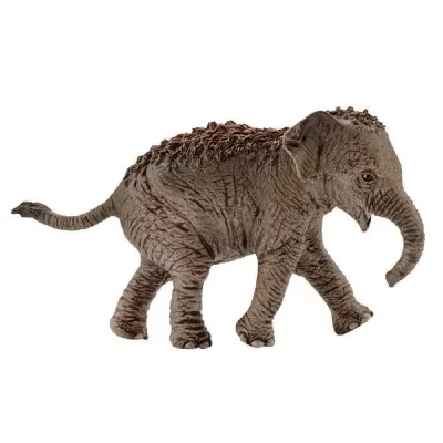 SCHLEICH - Figurine El&eacute;phanteau d&rsquo;Asie Wild Life, 14755, Multicolore