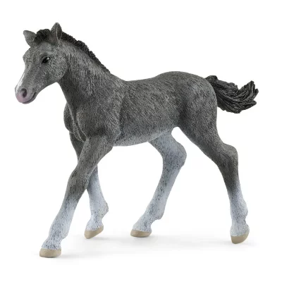 SCHLEICH  - poulain trakehnen - 13944 SCH4059433461106