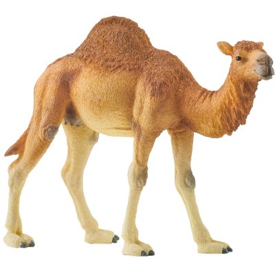 SCHLEICH  Wild Life Dromedary, Figurine