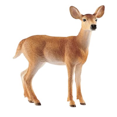 SCHLEICH  World of Nature: Wild Life - Biche &agrave; queue blanche