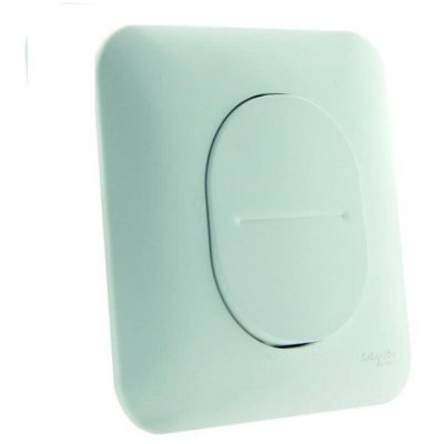 SCHNEIDER ELECTRIC  Interrupteur poussoir simple 10 A Ovalis 230 V