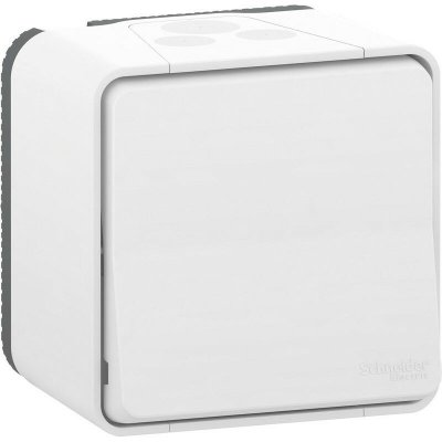 SCHNEIDER ELECTRIC  SC5SHN0212460 Va et Vient mureva Styl 250 V, Blanc