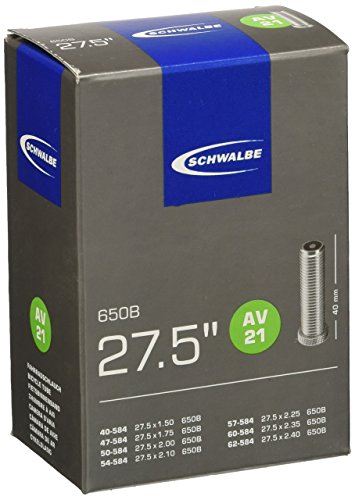 SCHWALBE  Chambres &agrave; air  20 X 0.90/1 Schrader 20 X 0.90/1