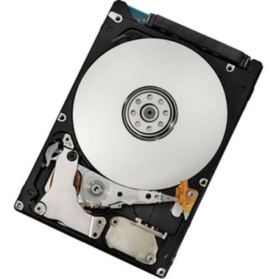 LENOVO Seagate Constellation.2 ST91000640SS - disque dur - 1 To - SAS