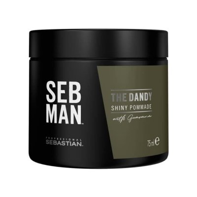 SEBMAN Sebastian Professional The Dandy Pommage L&eacute;g&egrave;re 75ml