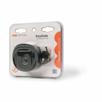 SCS SENTINEL S&eacute;lecteur &agrave; cl&eacute; pour motorisation de portail, 