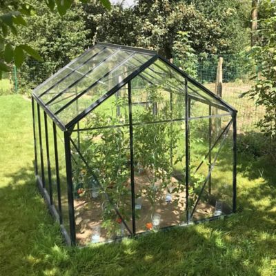 LAMS Serre en verre tremp&eacute; Allium anthracite 4,90 m&sup2; + embase - 