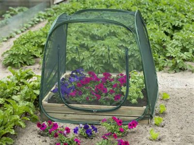 NATURE Serre plastique pour carr&eacute; potager - Filet anti-insectes