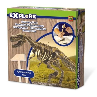 SES CREATIVE  Excavation d'un squelette de T-rex 20 x 20 cm Explorez