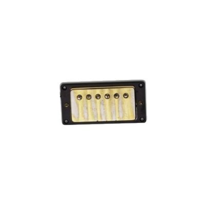 SEYMOUR DUNCAN  Micro Antiquity HB, manche, gold
