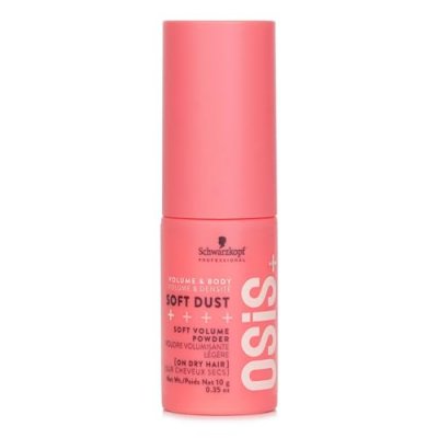 SHISEIDO  Laquerink Brillo De Labios 305 Rouge Flicker