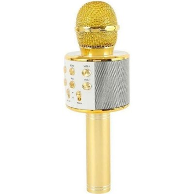 GENERIQUE SHOP-STORY - Micro de karaok&eacute; sans fil avec Fonction bluetooth - Or 