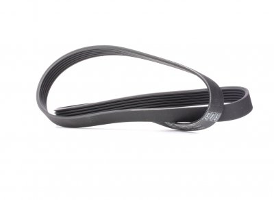 SKF  Courroie d'accessoire VKMV 6PK1244