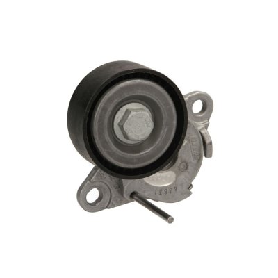 SKF  Galet tendeur (courroie d'accessoire) VKM 31160 SKODA SUPERB