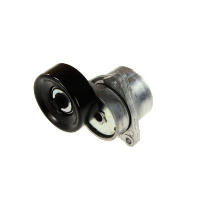 SKF  Galet tendeur (courroie d'accessoire) VKM 62002 NISSAN X-TRAIL