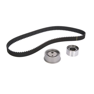 SKF  Kit de distribution VKMA 95655