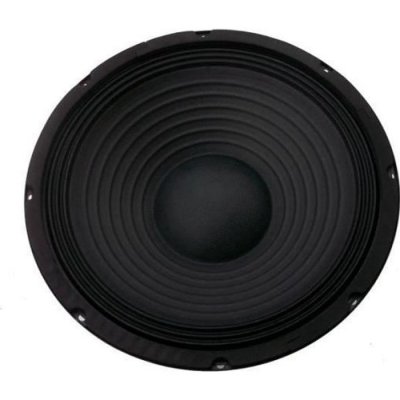 SKYTRONIC SkyTec SP1000 - Haut-parleur 10 pouces (25 cm), 250 Watts