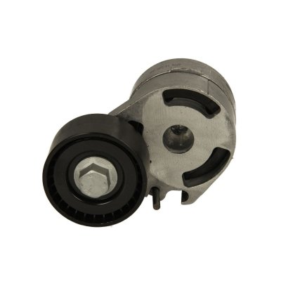 SNR  GA359.11 Galet Tendeur de Courroie d'Accessoire