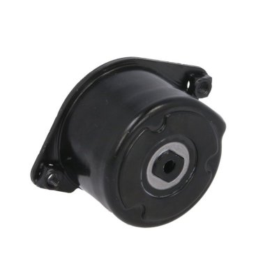 SNR Galet tendeur (courroie d'accessoire) GA350.60 BMW X3