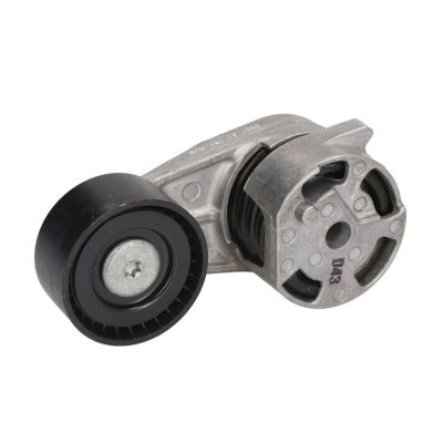 SNR  Galet tendeur (courroie d'accessoire) GA350.90