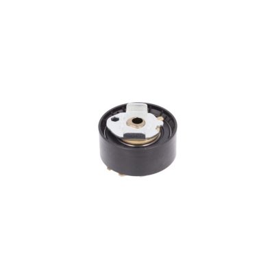 SNR  Galet tendeur (courroie de distribution) GT359.41