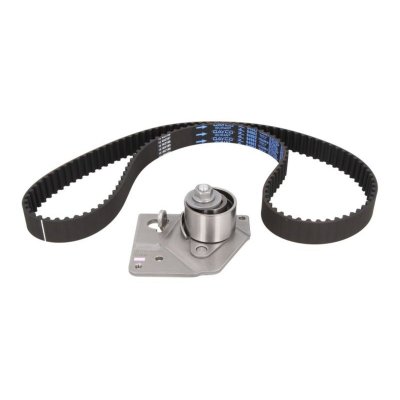 SNR  Kit de distribution KD455.56 RENAULT SC&Eacute;NIC