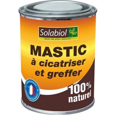 SOLABIOL  SOCICA150 Mastic &Agrave; Cicatriser Et &Agrave; Greffer 150 G