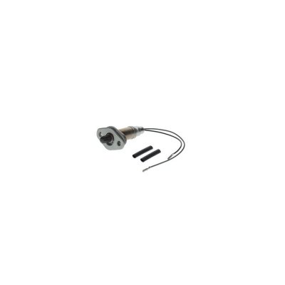 BOSCH Sonde lambda  0 258 002 210 (X1)